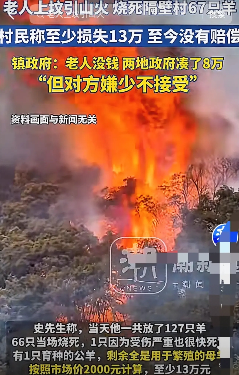 “父母官真不好当！”老人上坟引发山火，烧死村民67只羊！老人要钱没有要命一条，政