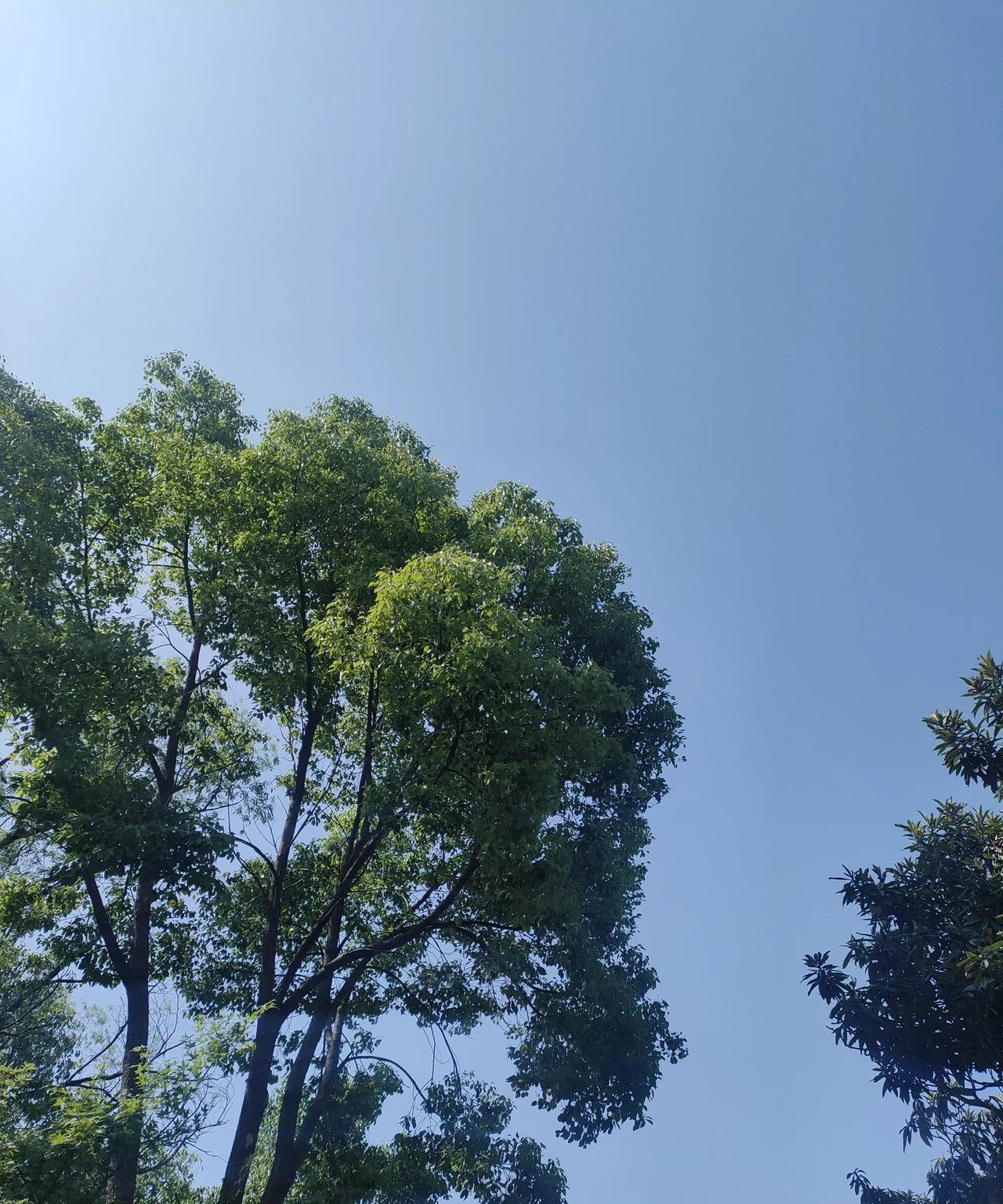 早上的天空，
太阳还不是很毒辣，
看上天空方向也不刺眼。
#晒晒家乡的天空#