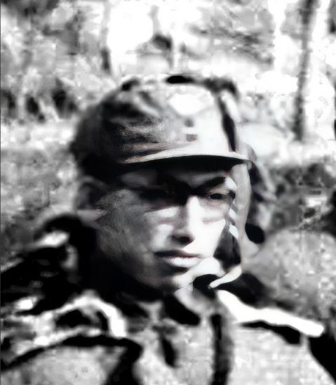 抗日战争进入白热化阶段的1943年，新四军作为中国共产党领导下的主力抗日武装，在