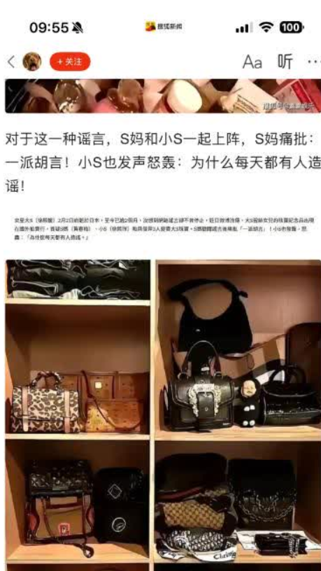 清明节前夕，S家再度掀起舆论风暴。小S联合S妈，火力全开炮轰汪小菲。小S怒斥有人