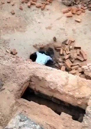 太搞笑了，印度男子与黑豹肉搏，村民拿砖头连人带豹一起砸
当地时间24日，印度北方