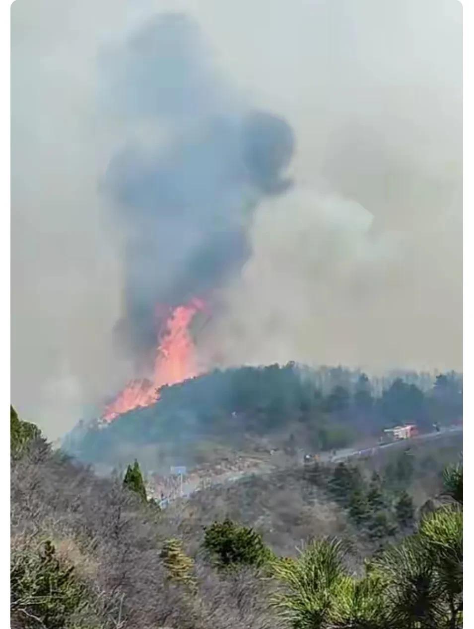 “这是河南火焰山？”自从3月21日中午12点开始，河南焦作市中站区龙翔街道辖区突