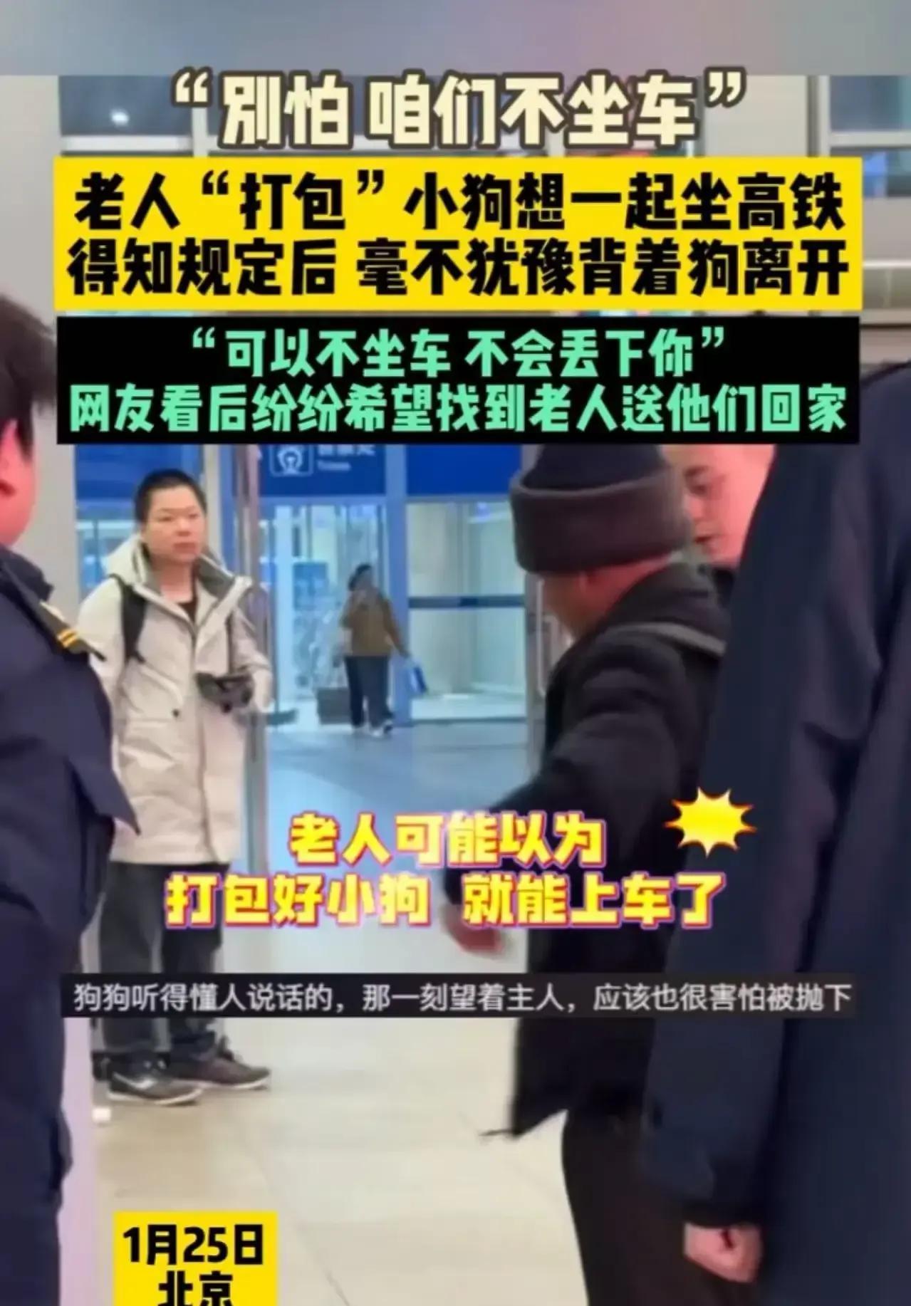 看哭了！北京icon，老人“打包”小狗想一起坐高铁回老家，却被告知不能带狗上车，