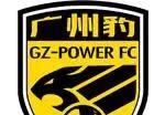 2025年中甲广东广州豹内外援引进情况
广东广州豹：姜积弘（云南玉昆）、夏达龙