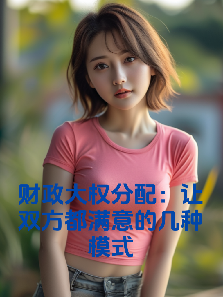 财政大权分配：让双方都满意的几种模式