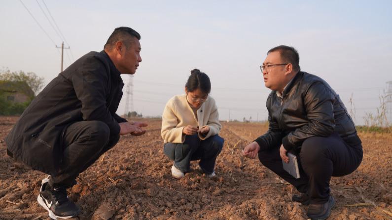 以“六力培优”淬炼实干尖兵