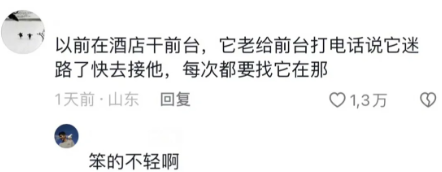 电梯还要站C位，哈哈