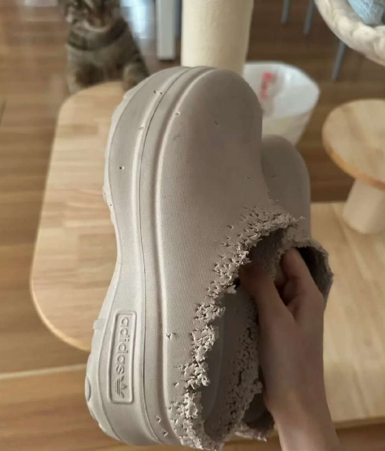 这是新款？还是家里进老鼠了？？
