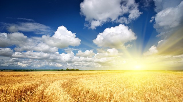 活了大半辈子，竟连6万块钱都拿不出来？真不知道爸妈在干什么！