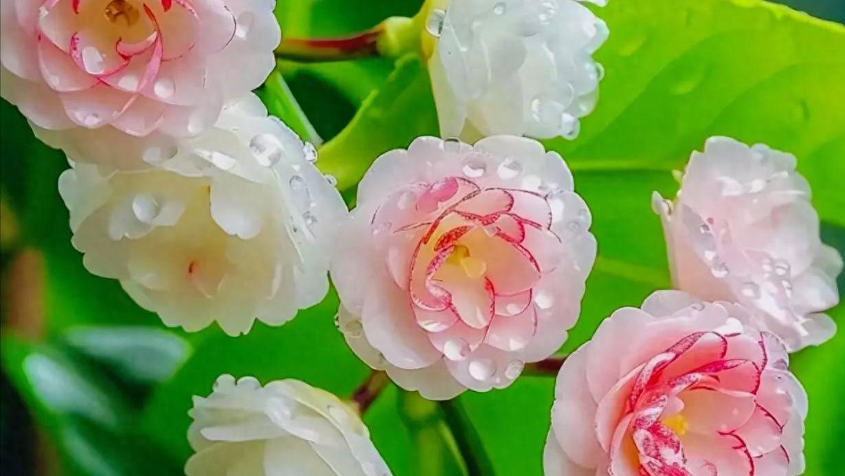 对人和颜悦色，做人察言观色，做事不动声色