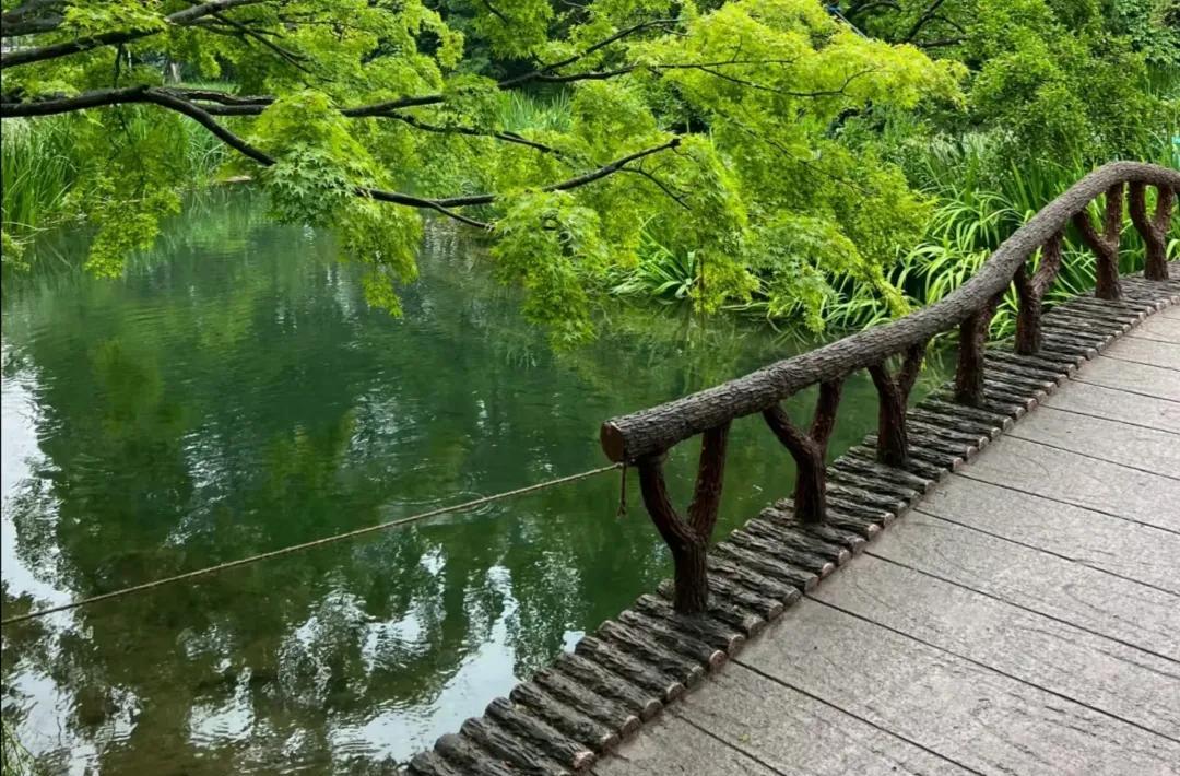 比劫克财篇之一：底层逻辑
所有忌比劫走比劫大运流年的朋友都会遇到比劫克财即破财，