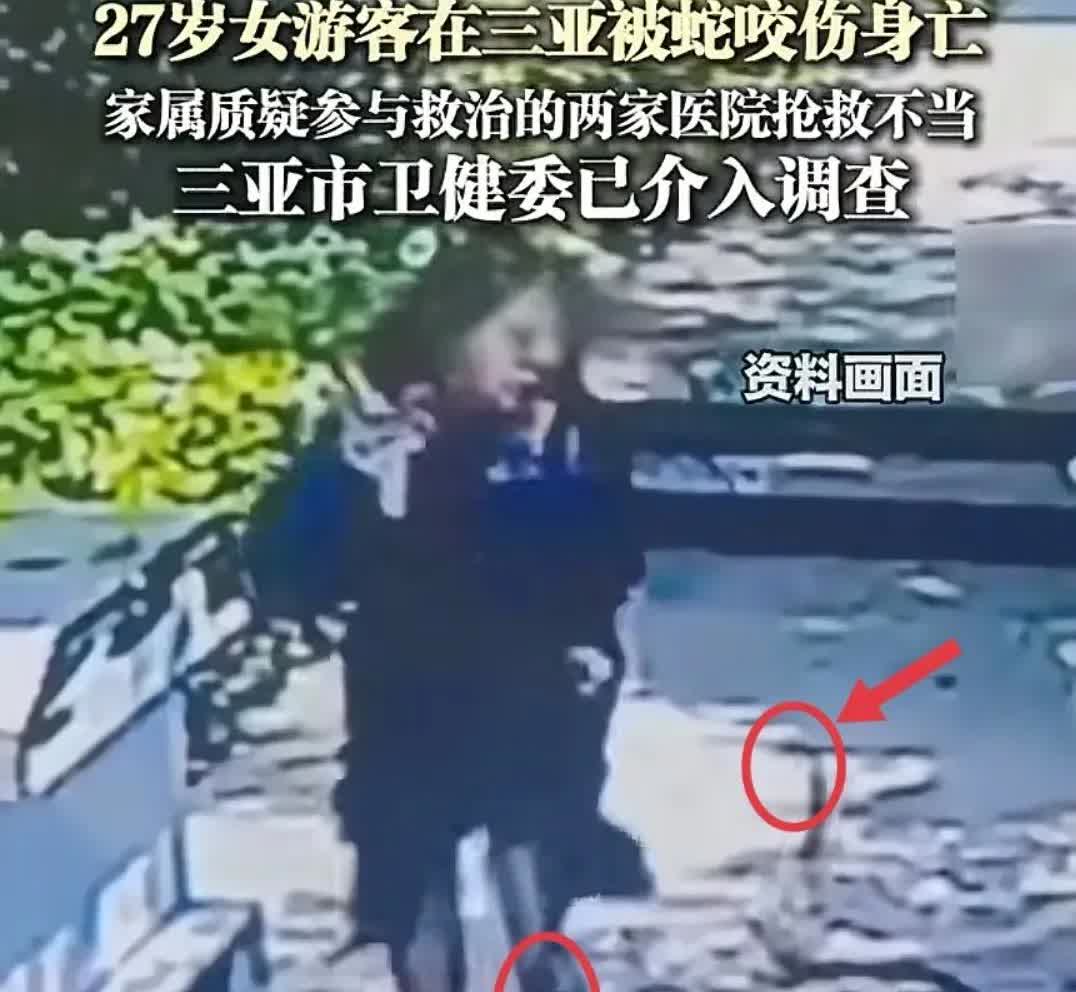 给我妈看了女子三亚被蛇咬伤的新闻，我妈皱着眉迟疑地说，这个女孩子是城里人吧？
