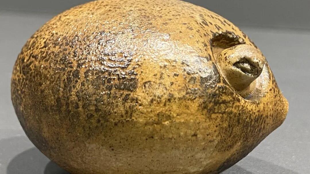 戈壁石是奇石珍品！上饶曾钦伟：扎根阿拉善，发现艺术美