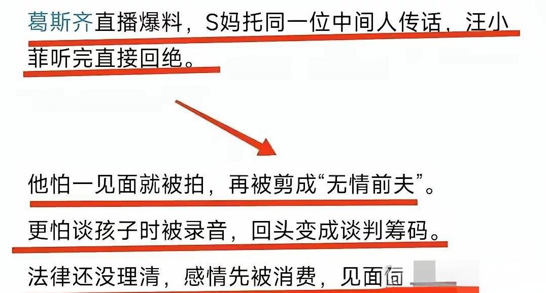 老话说：当局者迷 旁观者清！一点没错啊！
葛斯齐今天直播中再一次说s妈通过中间人