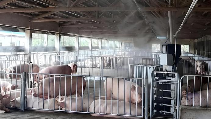 森澳达｜夏天怕热冬天怕闷，如何找到保温通风的 “黄金平衡点”？