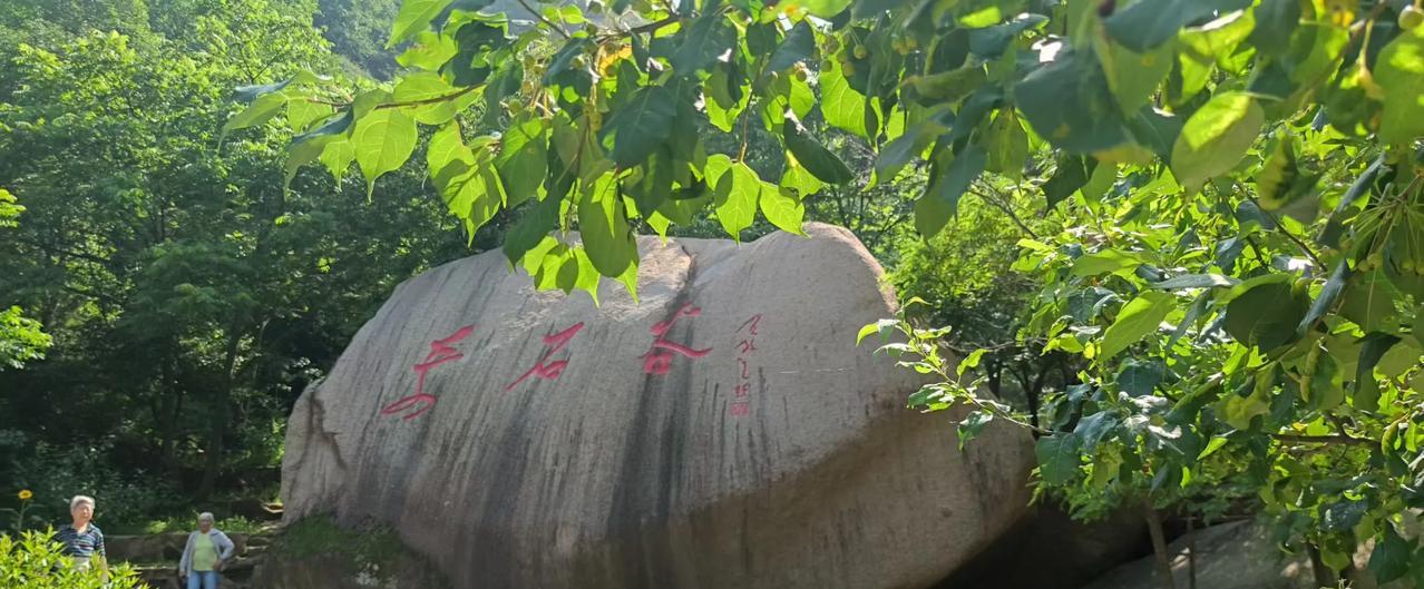 正是进伏那天，我们一行10人驱车来到兴隆农家院，这里给人的感觉就是凉快！
从天津