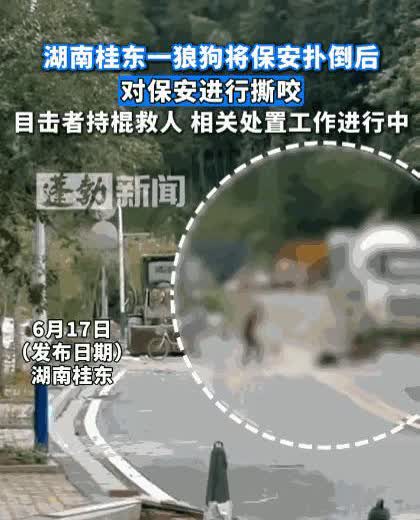 “当场击毙！”湖南，男子出去倒垃圾时，突然冲出一条大狗，将他扑倒在地撕咬，男子虽