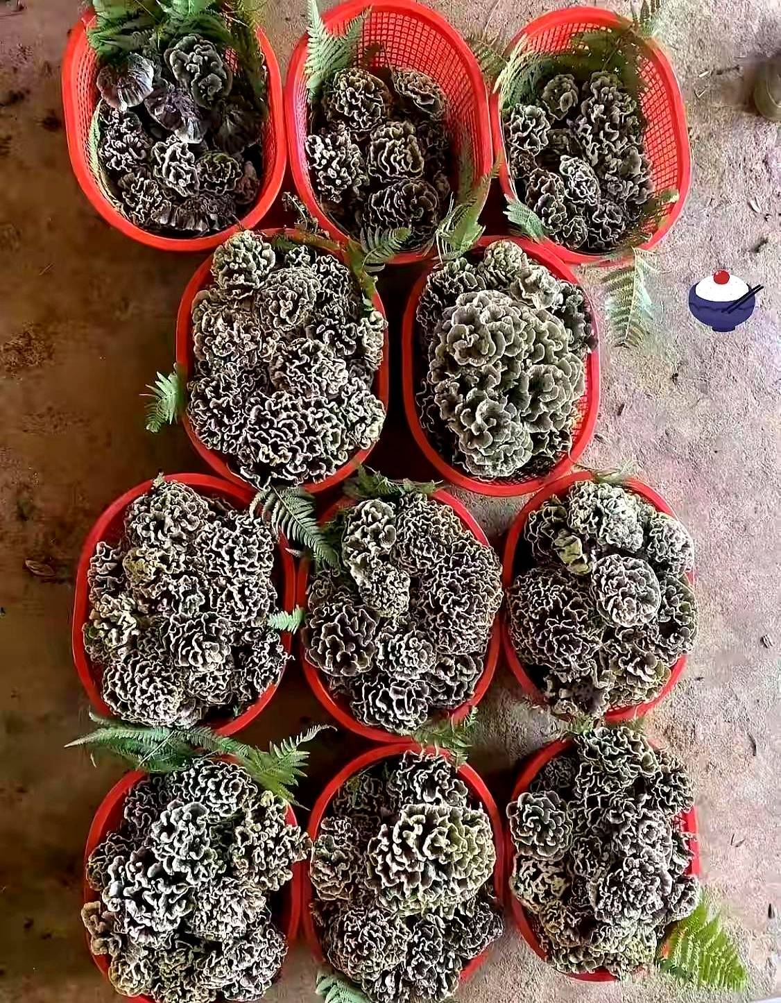 这是云南的什么特色美食？有没有云南的朋友介绍一下！