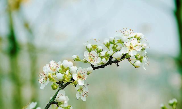 6月下旬，吉星庇佑，4属相财源广进，事业顺利，生活顺风顺水
属相鼠
6月下旬，属