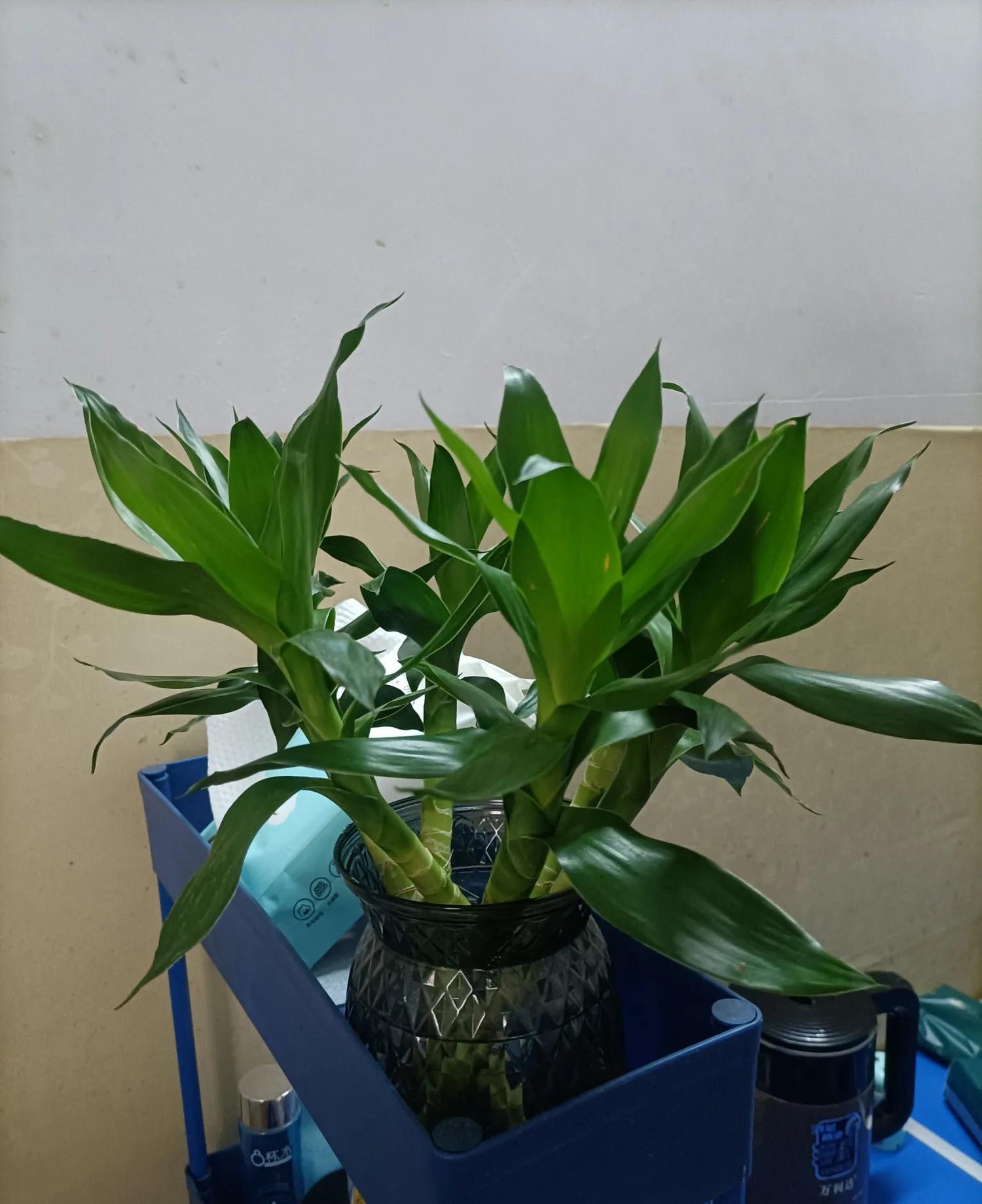 大家好啊，我是七姐，我再也不找比我小的男人了。  



这段时间经历的事情，让