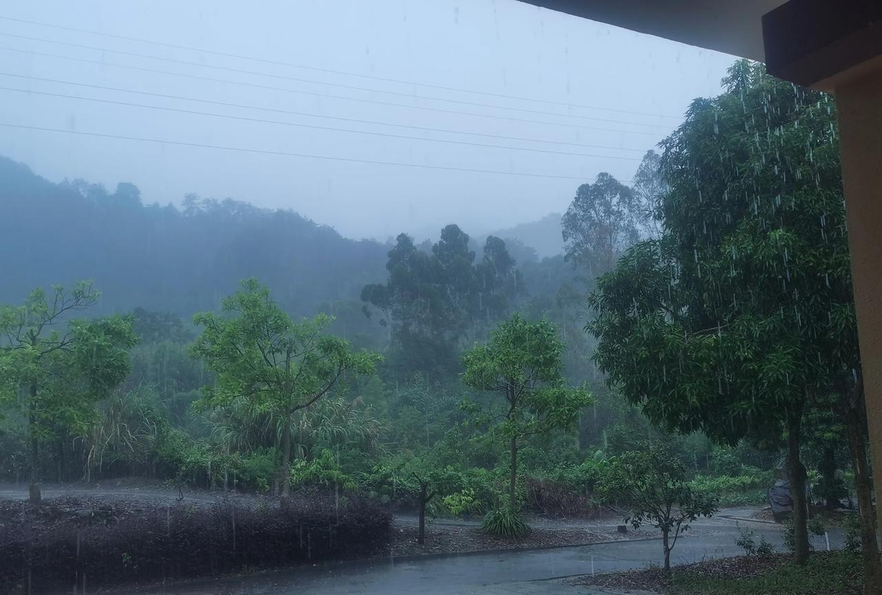 今天又是616，
蕉岭又下了一天暴雨，
接下来又是台风，
还将有连续暴雨天气。