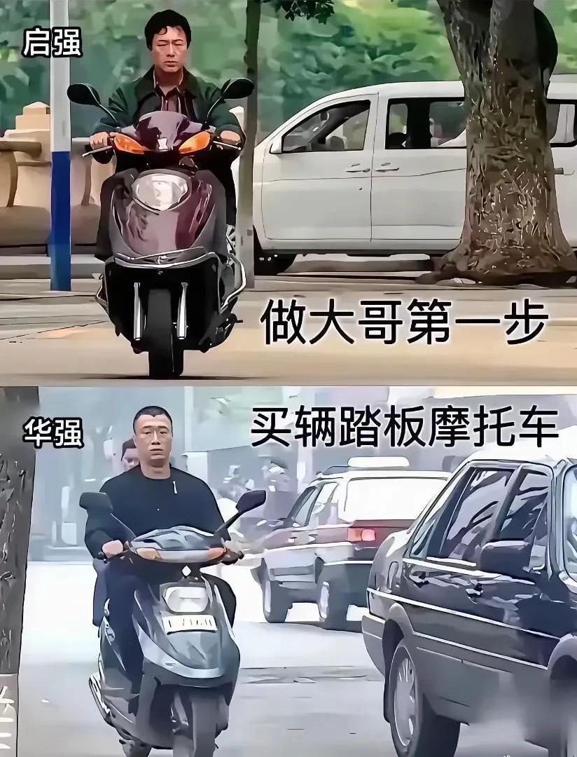 强哥的共同点[灵光一闪]