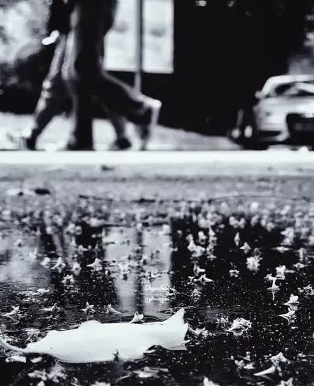 为什么每到雨天交通就会变得拥堵？无论暴雨大雨还是小雨毛毛雨，每次只要一下雨，地图