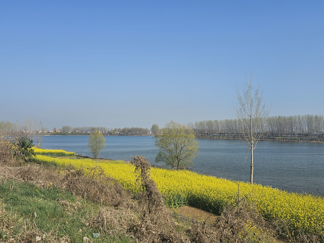 三道杠剩余极限里程挑战34.9成功
20公里以下极限续航挑战，众所周知100公里