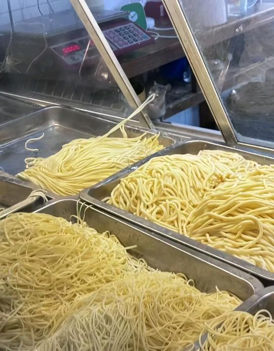 在他家买了好几年的面条，结果今天碰见老板养的宠物