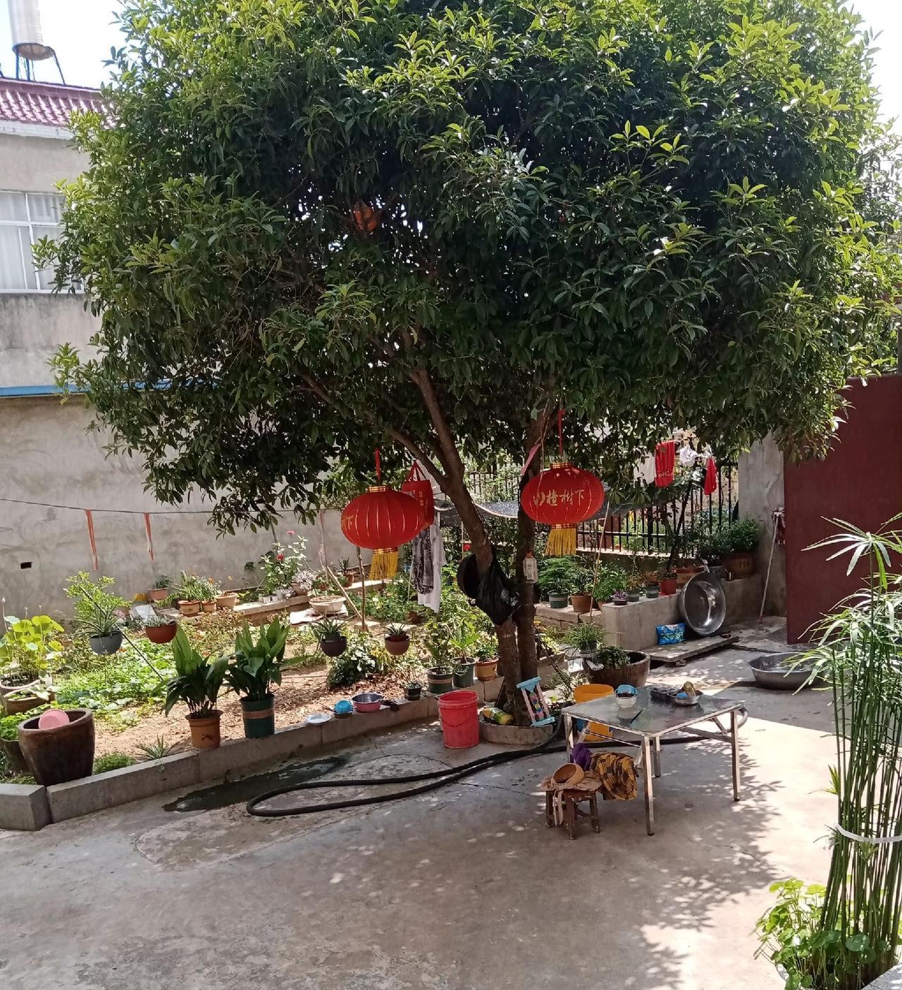 遇到白眼狼亲戚，你100次对她付出让她们满意了，一次没让她满意就变成了她心中的仇