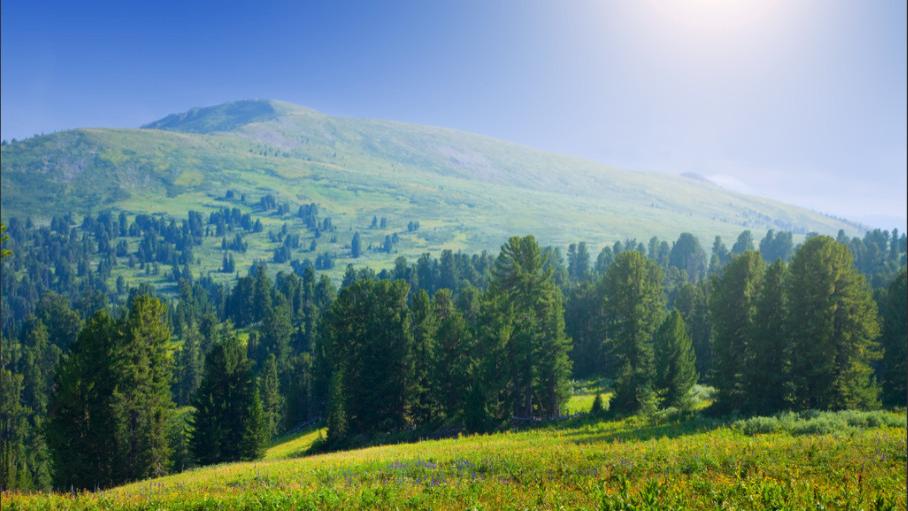 江苏省丹阳市朱某林的沉冤与不当裁判之痛