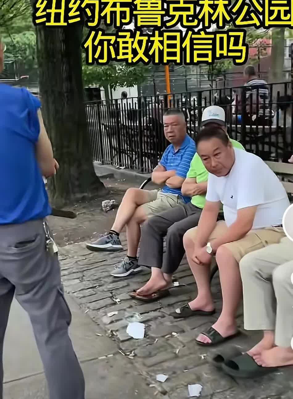 你敢相信吗？这是在漂亮国纽约的布鲁克林公园的场景！
       如果你去那里