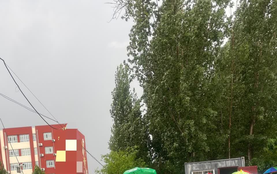 学校门口，一个男人举着一把大伞雄赳赳，气昂昂的从学校出来。

天阴的很沉，雨