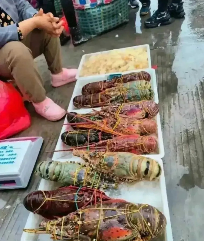 这个放地上卖估计也不便宜？