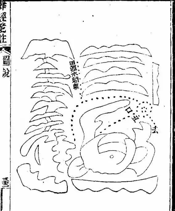 孝敬父母系列——
第一百七十招：“年月财印若相绝，父母定是半路缘”
八字中看父母