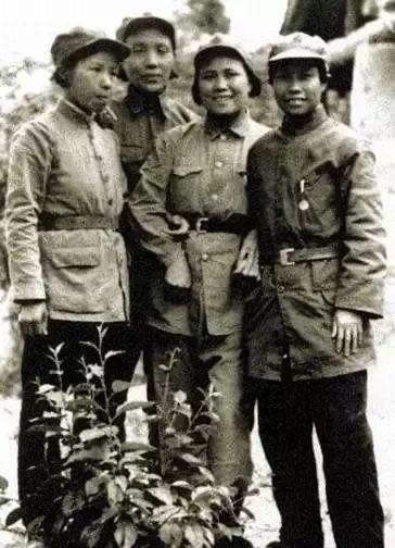 长征后的女红军，左起陈琮英、蔡畅、夏明、刘英，致敬！#历史#