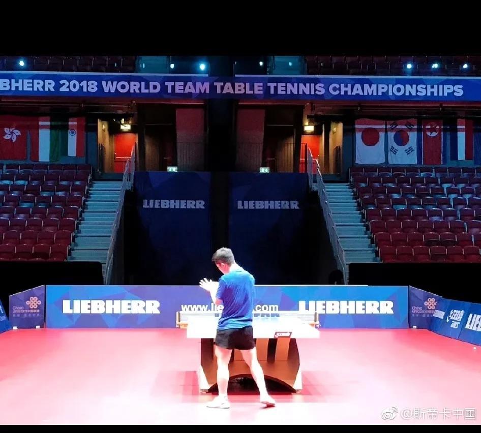 2018年瑞典世乒赛
#樊振东# 
最有价值球员（MVP）
八战八胜的樊振东。