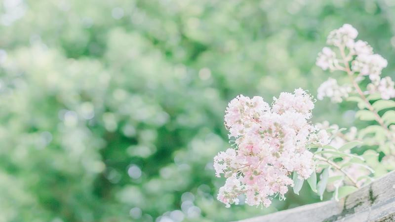 官场：重生后我权势滔天（林峰唐雪颜刘艳茹）当刘艳茹非要抢先去查这场酒驾的时候，林峰就知道，她也重生了