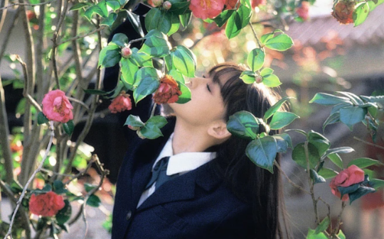 她假死6年装失忆嫁情敌，我携她亲姐5岁女儿现身婚礼：“介绍下，这是你姐夫和外甥女”