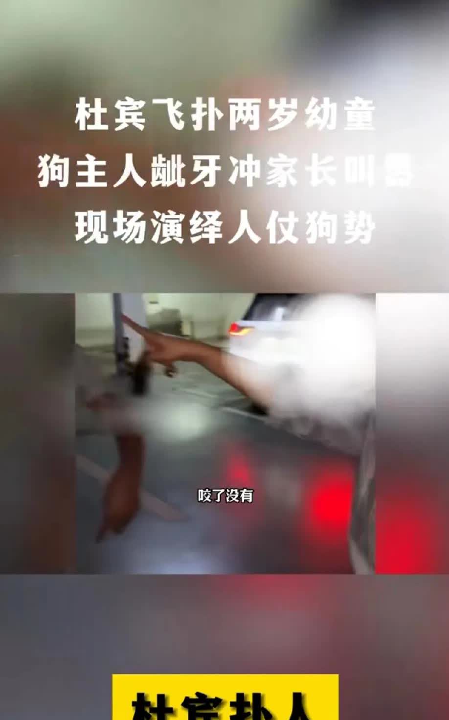真替现场这全家捏把汗，
男子当时就不应该还跟两条杜宾犬的女主人争吵，
我是养