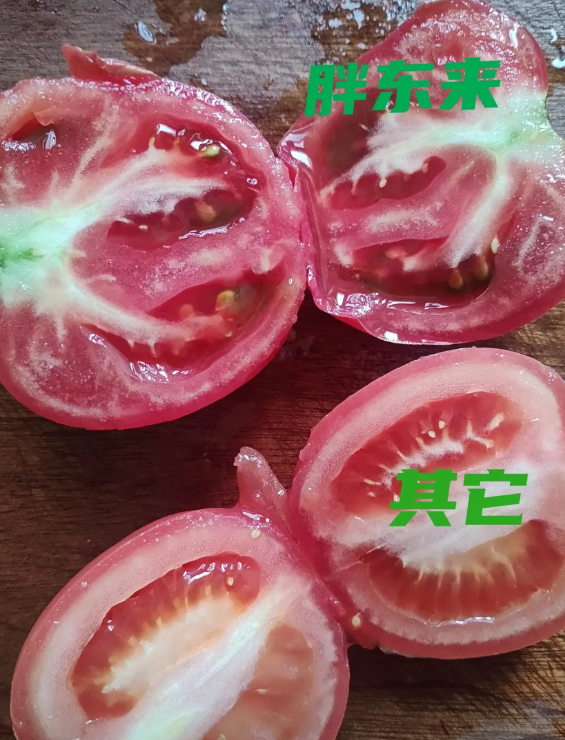 都说胖东来的蔬菜水果贵，要我说，确实贵！可是你往下接着看。
同样的普罗旺斯西红柿