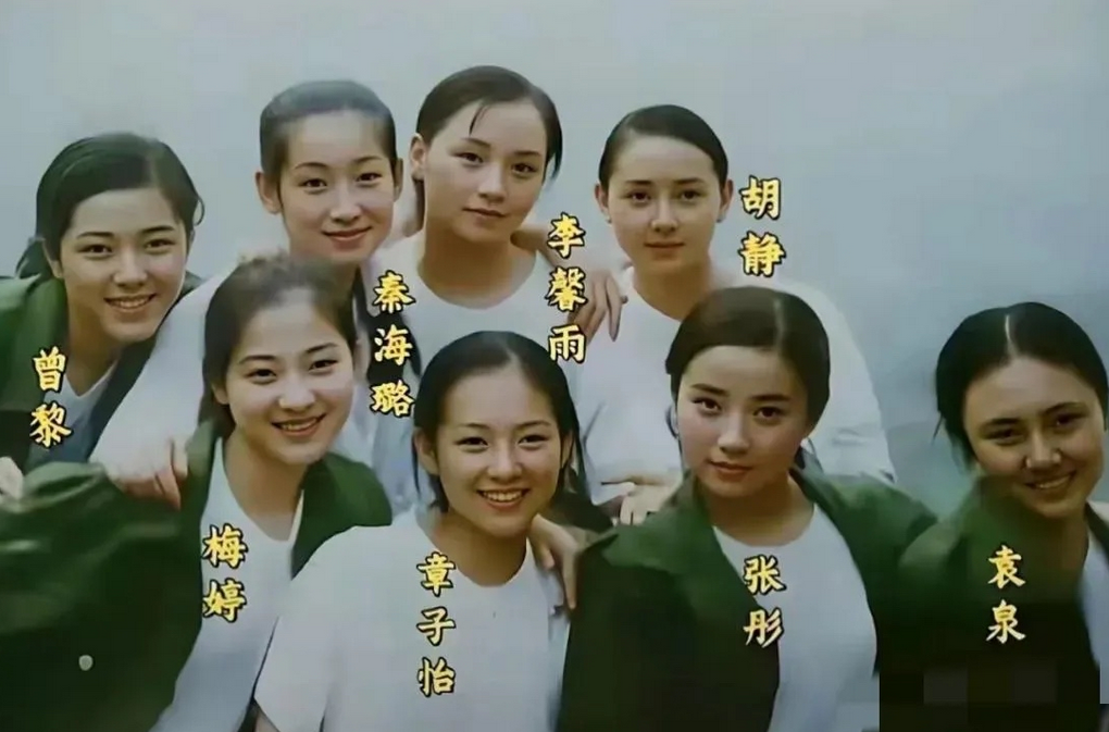 除李鑫雨外，其余几位演员均已大红大紫。