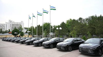 从“小迪”到“迪Sir” 印证中国新能源车海外的深度认可