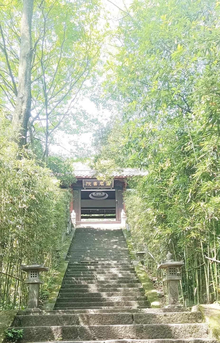 成都从今天开始，之后的一周内，都是35°左右的高温，三伏天即将来临，开启炎热盛夏