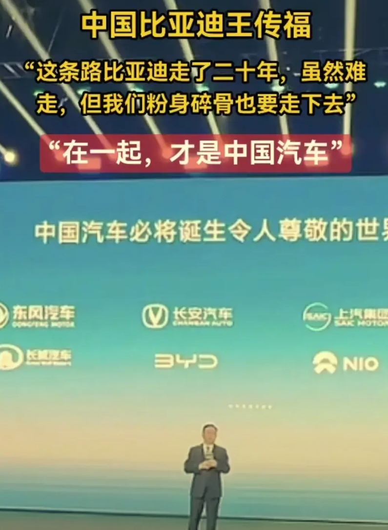 我们不拉踩别人，我们只是告诉大家这些年中国比亚迪默默做过的那些事。
比亚迪王传福