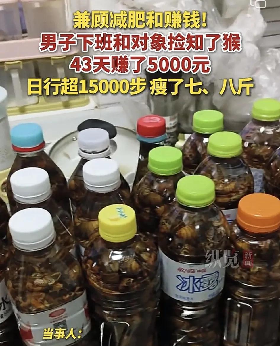 #头号创作者激励计划#山东烟台一男子分享下班之后与妻子一起到郊外去捡知了猴，一方