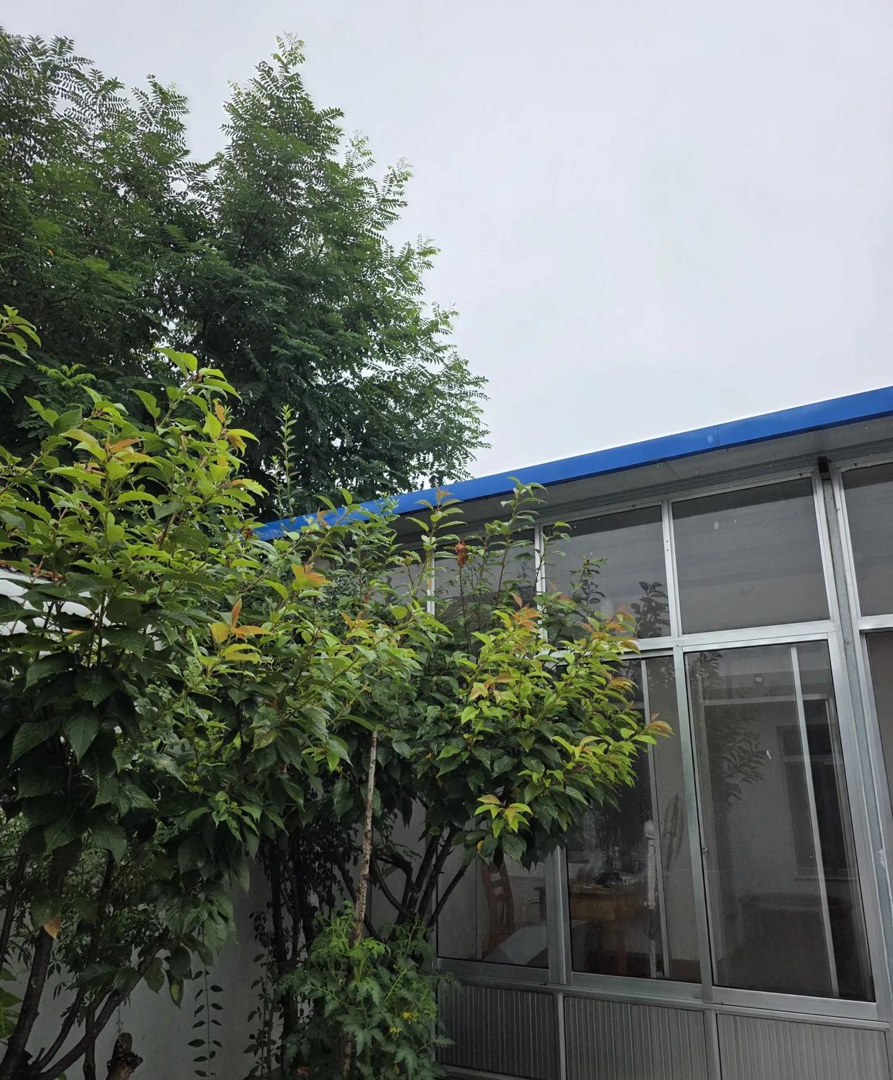 乡村叙事：久旱中盼来一场雨
对村里的乡亲来说，最大的心愿不是发大财、挣大钱，而是