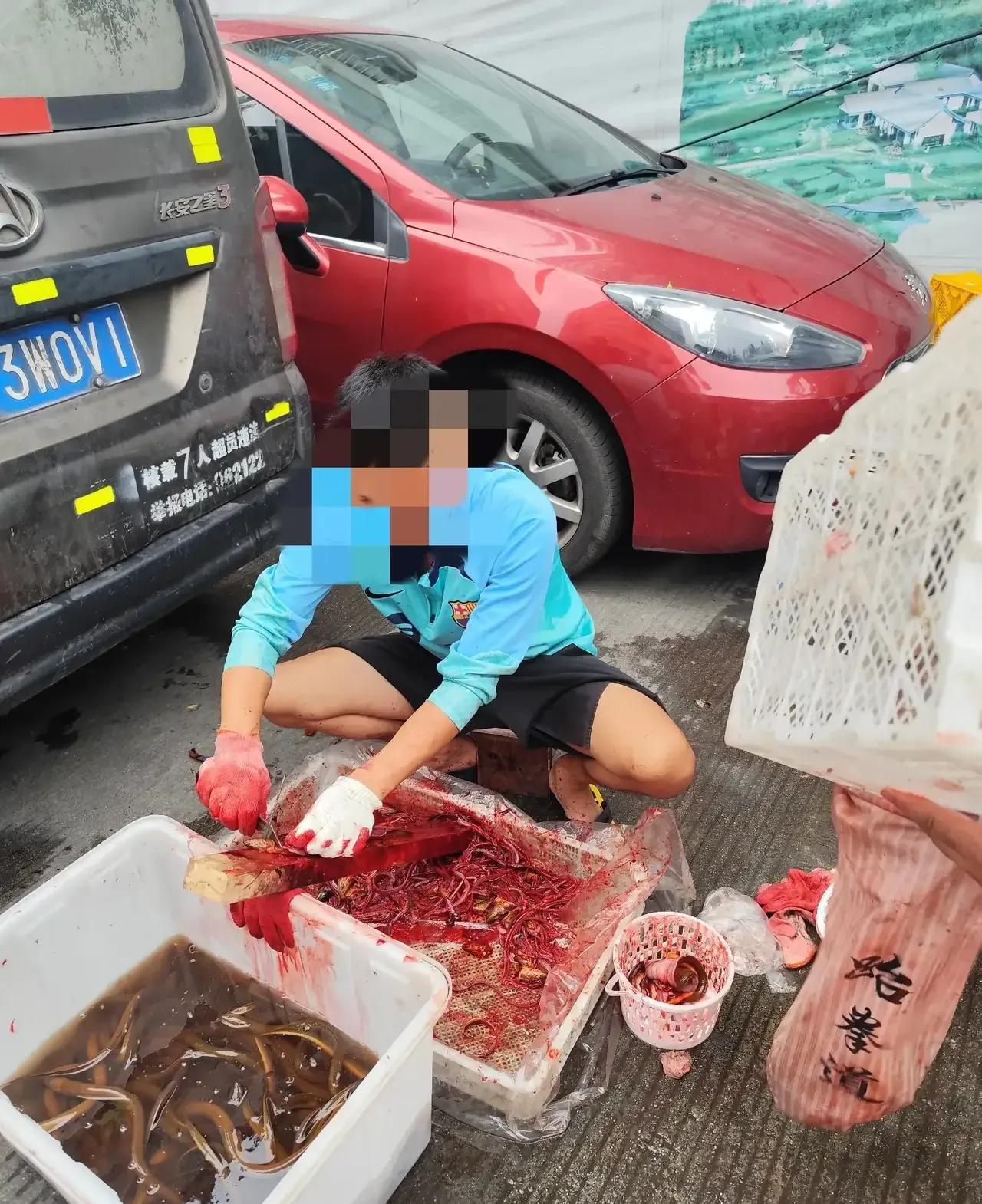 交了智商税！温江航天大市场40元一斤的“大凉山土黄鳝”，竟是…



我最近在温