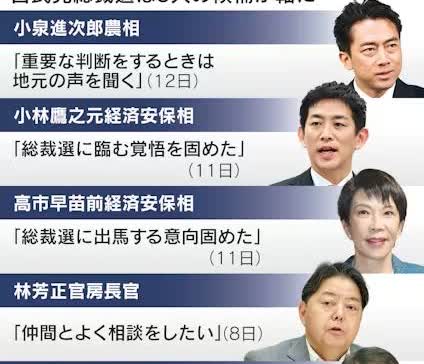 这次日本自民党总裁选，如果只看参选者的本科毕业学校，感觉就像是“三个北大， 一个