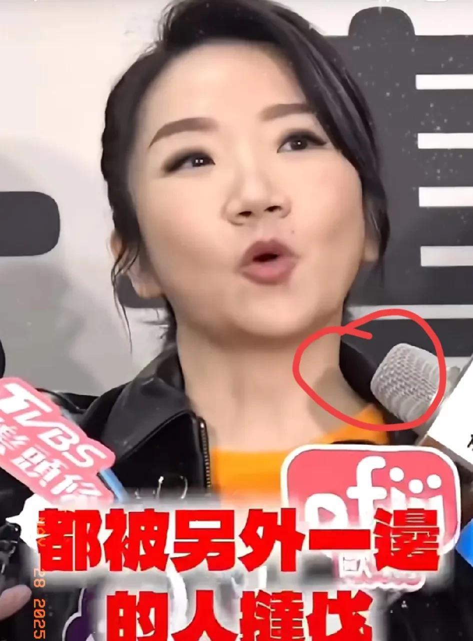 陶晶莹的言论引发了广泛争议，但我们需要理性看待这一事件。在当今社会，艺人作为公众